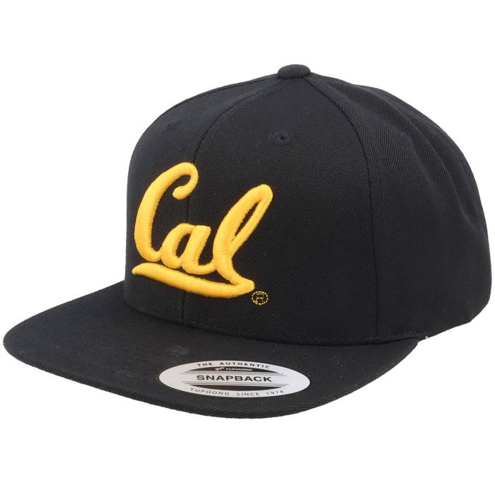 Park Fields 【 Cal Bears 3D Logo Black Snapback Men Black 】 カルフォルニア bears ベアーズ ロゴ 黒色 ブラック Snapback スナップバック バッグ メンズ 黒色 ブラック