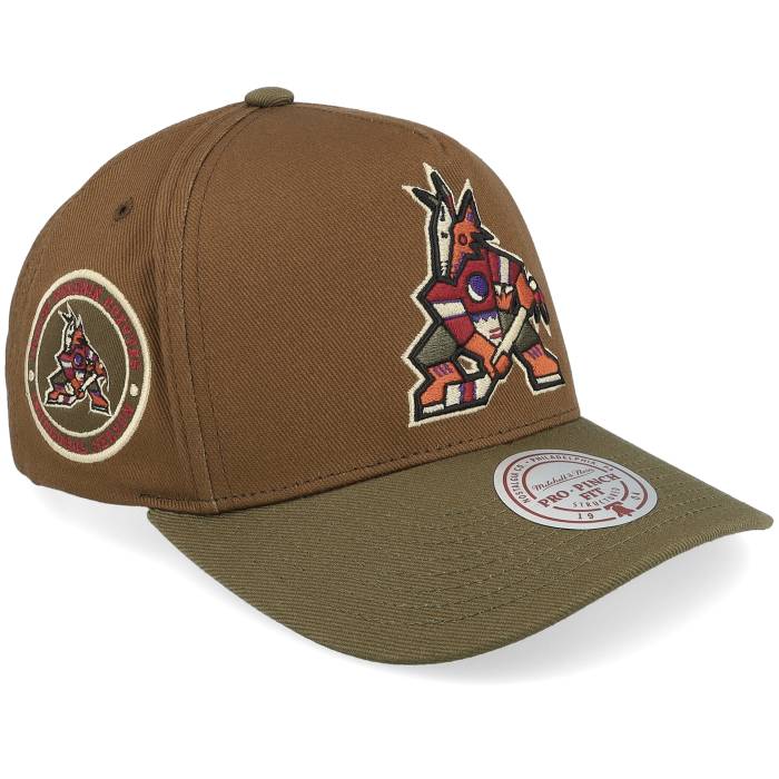 ミッチェル&ネス Mitchell & Ness 【 Hatstore Exclusive X Arizona Coyotes Pro Crown Brown/Green A-Frame Adjustable Men Brown 】 アリゾナ コヨーテズ プロ メンズ 茶色 ブラウン