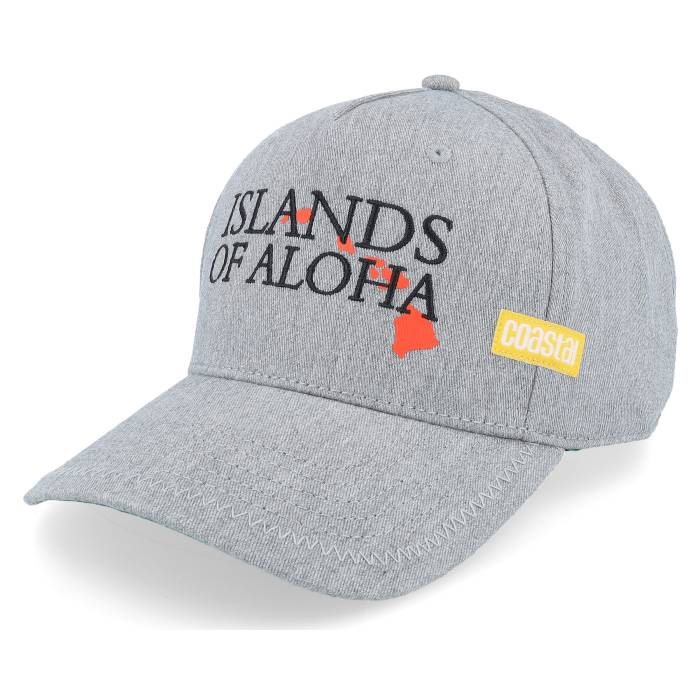 Coastal 【 6 Panel Curved Visor Island Grey A-Frame Adjustable Men Grey 】 灰色 グレー メンズ 灰色 グレー 15,466円