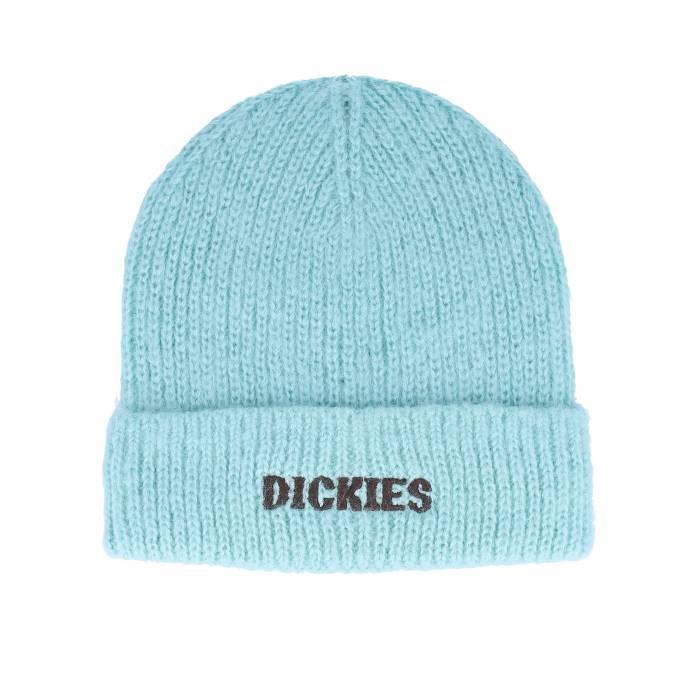 ディッキーズ Dickies 【 Hays Beanie  Pastel Turquoise Cuff Women Blue 】 旗がしら かぶり笠 レディース 青味 青み