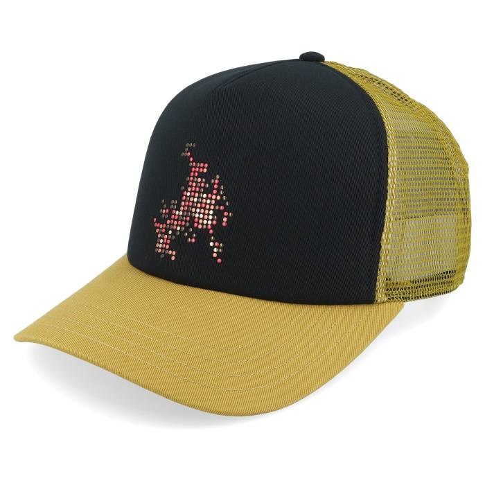 ヴァンズ Vans 【 Skate Flame Black/Burnt Gold A-Frame Trucker Men Black 】 Skate スケート ゴールド トラッカー メンズ 黒色 ブラック|スニケス