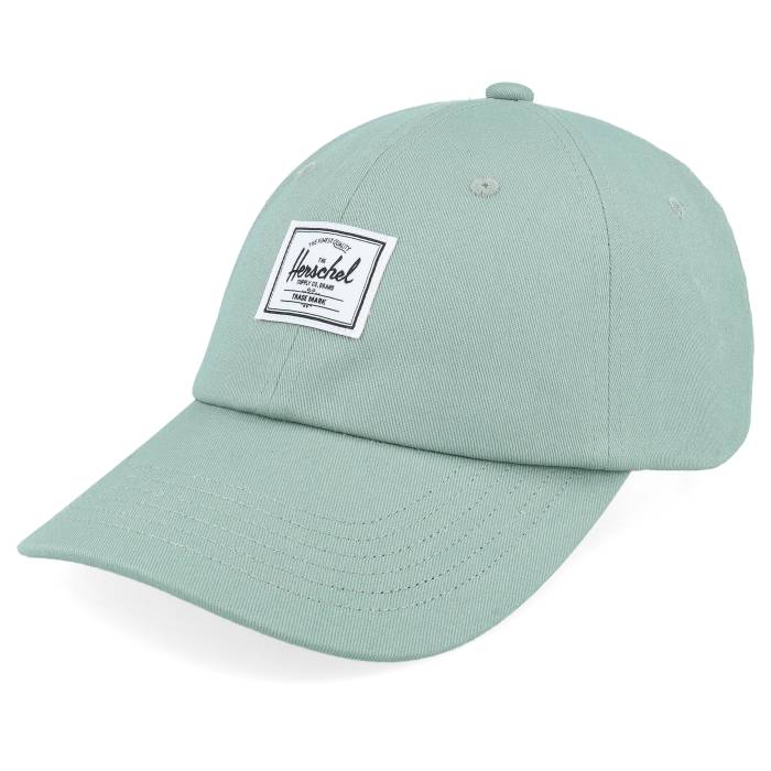 Herschel 【 Sylas Classic Cap Iceberg Green Dad Cap Men Green 】 古典派音楽 旗がしら かぶり笠 green 緑・緑であること メンズ green 緑・緑であること