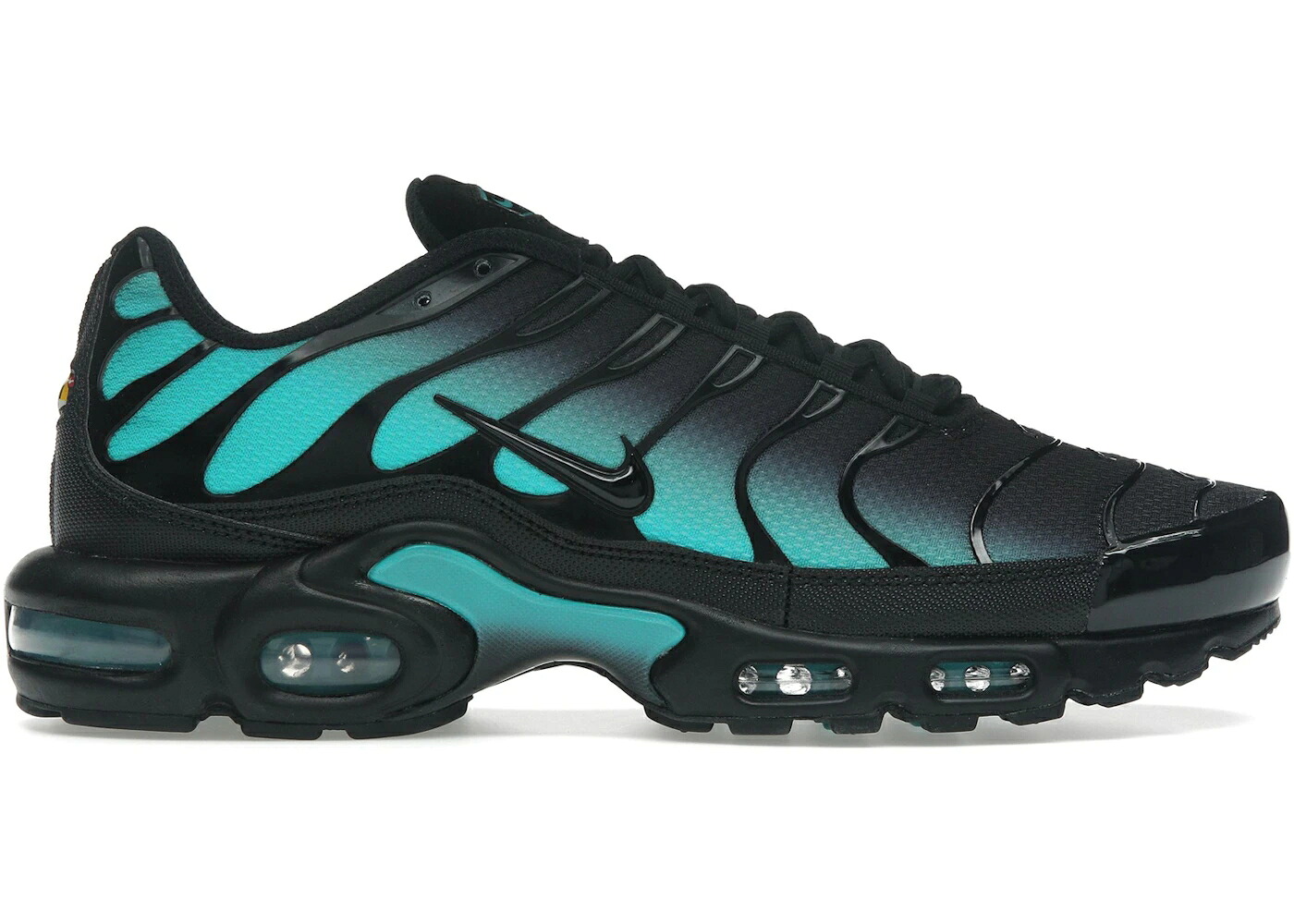 ナイキ マックス 黒いこと 黒いこと エアマックスプラス スニーカー メンズ NIKE AIR MAX PLUS BLACK DUSTY CACTUS / BLACK DUSTY CACTUS BLACK