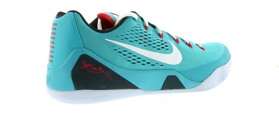 kobe dusty cactus