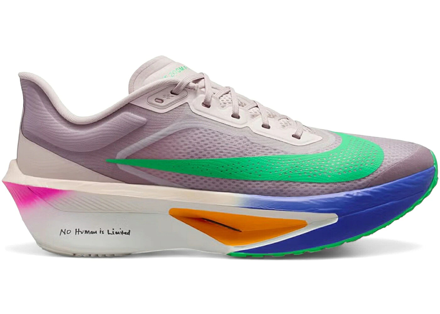 ナイキ 望遠レンズ 赤 赤いこと 紫 相撲取り草 たき火 望遠レンズ飛球 スニーカー メンズ NIKE ZOOM FLY 6 ELIUD KIPCHOGE NO HUMAN IS LIMITED / SILT RED PERSIAN VIOLET FIRE