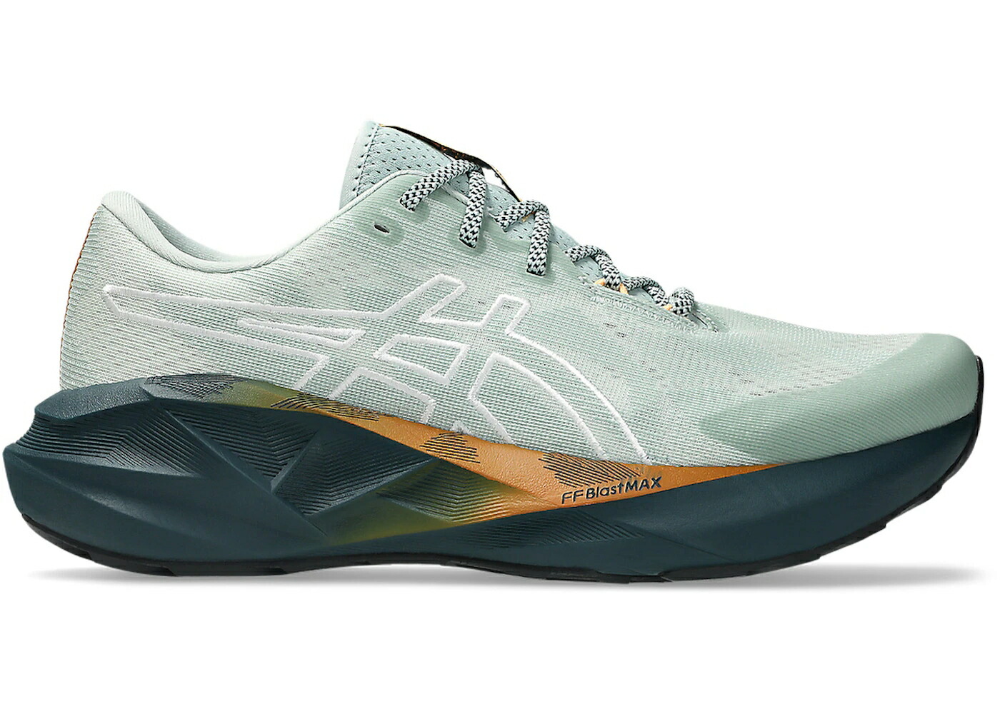 アシックス スニーカー メンズ ASICS NOVABLAST 5 TR NATURE BATHING LICHEN ROCK / NATURE BATHING LICHEN ROCK