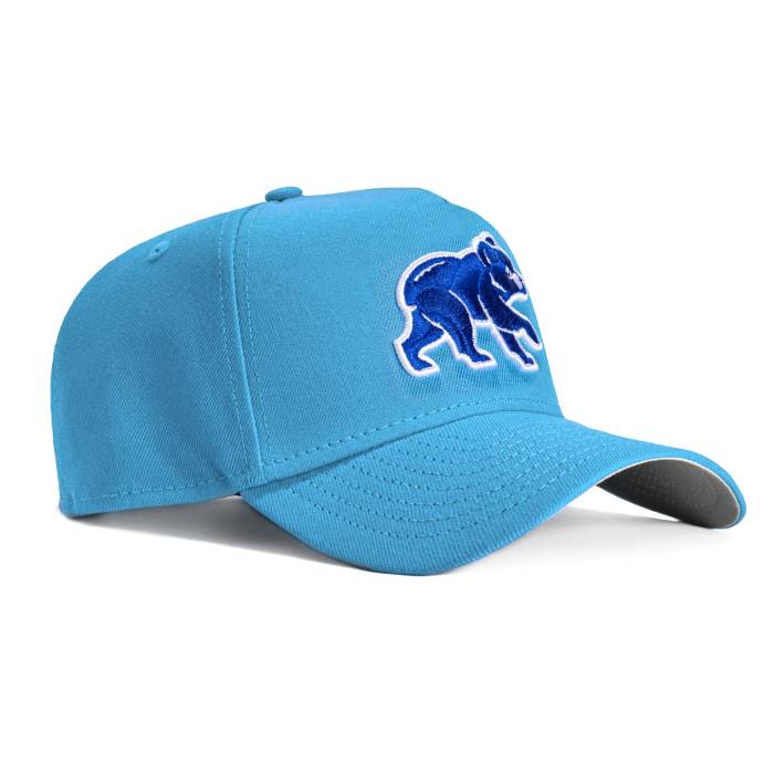ニュー内鰓 New Era 【 9Forty A-Frame Chicago Cubs Snapback Hat Men Light Blue / Royal 】 風の強い町 カブス Snapback スナップバック 御徒面子 メンズ 青味 青み