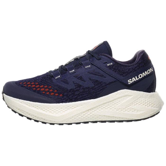 サロモン Salomon 【 Aero Glide 3 Grvl Men Astrl Aur/Van/Rd 】 グライド メンズ