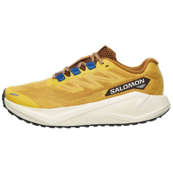 【★百貨店SALE★6/11十二時2時迄】サロモン Salomon 【 Aero Blaze 3 Grvl Men Spicy Mustard/Van 】 メンズ