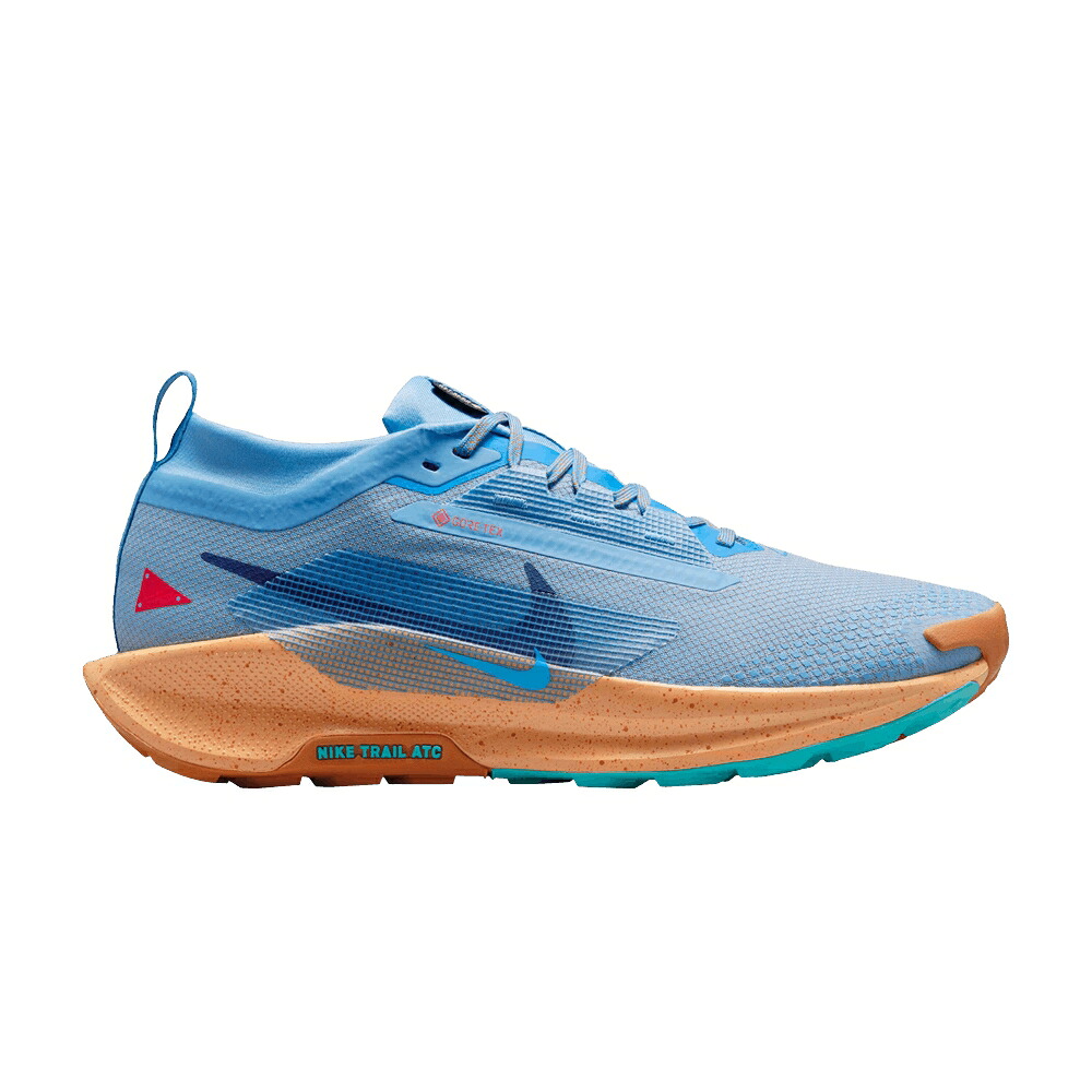 ナイキ ペガサス ゴアテックス 銅色 コッパー 青味 青み モナーク \u0027BLUE MOON\u0027 スニーカー メンズ NIKE PEGASUS TRAIL 5 GORE-TEX BEYOND COPPER / BLUE BEYOND COPPER MOON MONARCH