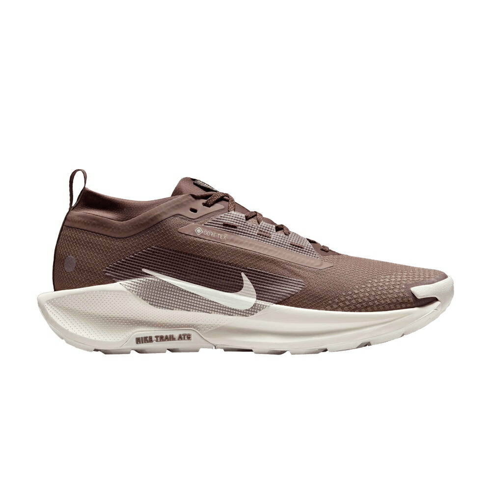 ナイキ ペガサス ゴアテックス 茶色 ブラウン 'MINK BROWN' スニーカー メンズ NIKE PEGASUS TRAIL 5 GORE-TEX / MINK BROWN BAROQUE BROWN MOON