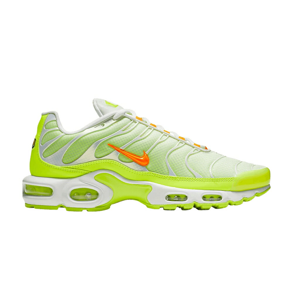 ナイキ マックス エアマックスプラス \u0027COLOR FLIP\u0027 スニーカー メンズ NIKE AIR MAX PLUS /