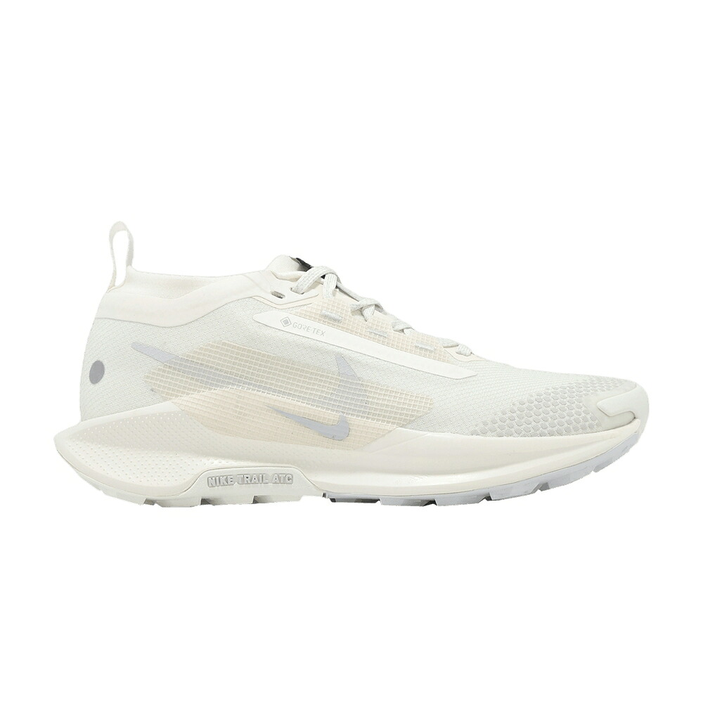 ナイキ ペガサス ゴアテックス \u0027SAIL DUST\u0027 スニーカー レディース NIKE WMNS PEGASUS TRAIL 5 GORE-TEX PHOTON / SAIL PHOTON DUST