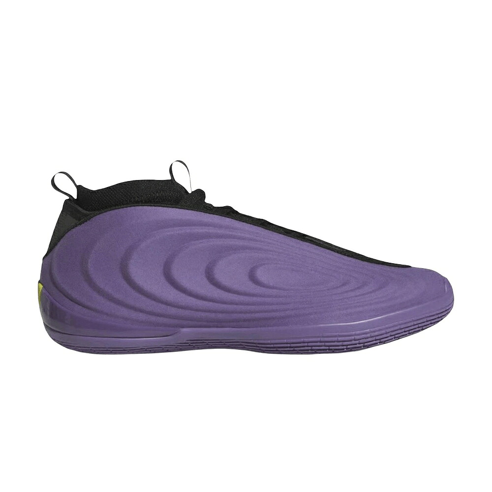 アディダス ハーデン 中核グループ 黒いこと 黒いこと VOL. \u0027MATTE PURPLE\u0027 スニーカー メンズ ADIDAS HARDEN 10 / SUPPLIER COLOUR CORE BLACK LUCID