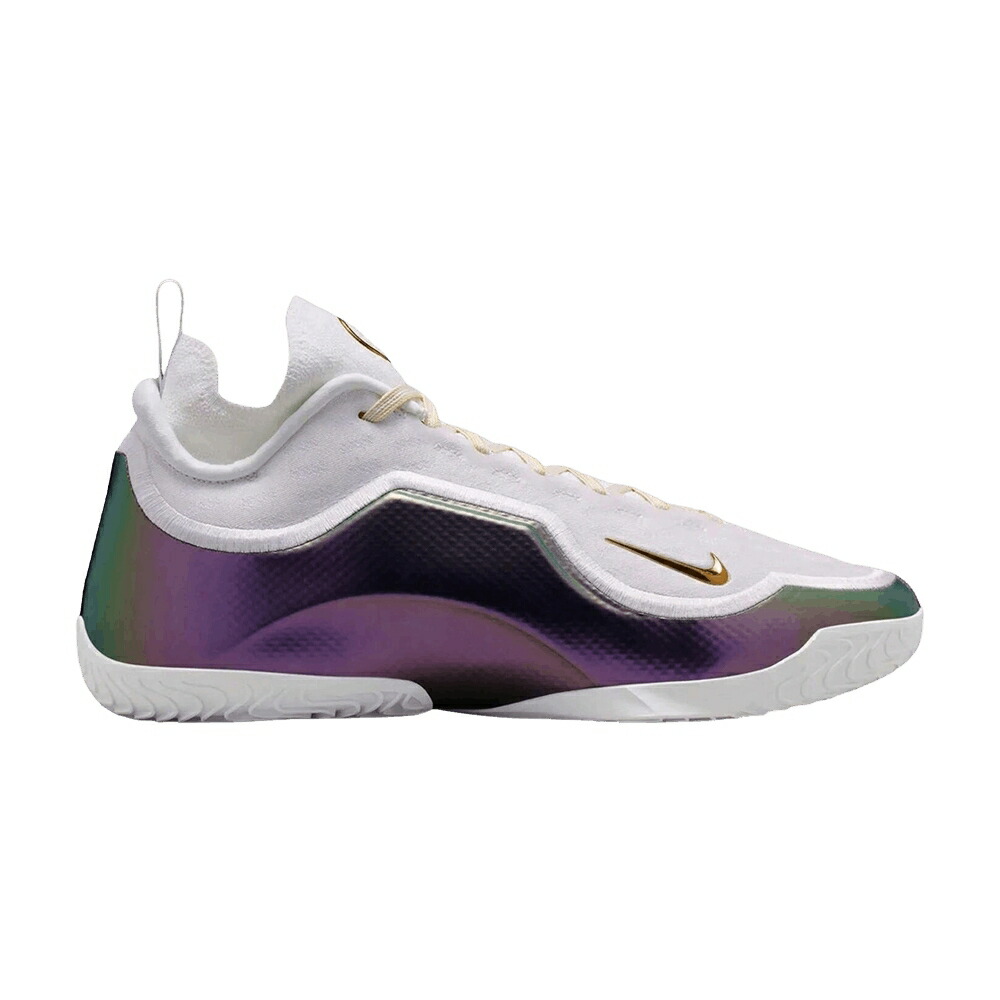 ナイキ レブロン エリート 白いこと 白いこと 黒いこと 黒いこと \u0027FOR RECORD\u0027 スニーカー メンズ NIKE LEBRON 23 ELITE THE / WHITE BLACK WHITE