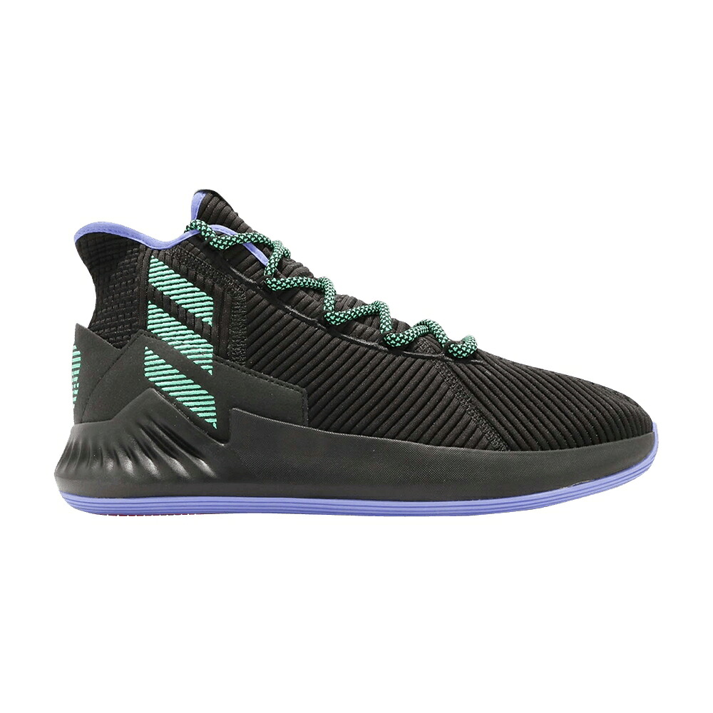 アディダス ローズ コア 黒色 ブラック 緑 グリーン 紫 パープル スニーカー メンズ ADIDAS D ROSE 9 / CORE BLACK GREEN PURPLE｜スニケス