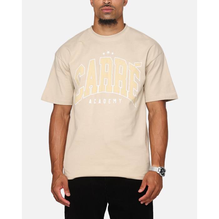 Carre 【 Institute T-Shirt Mens Stone 】 プルオーバー メンズ