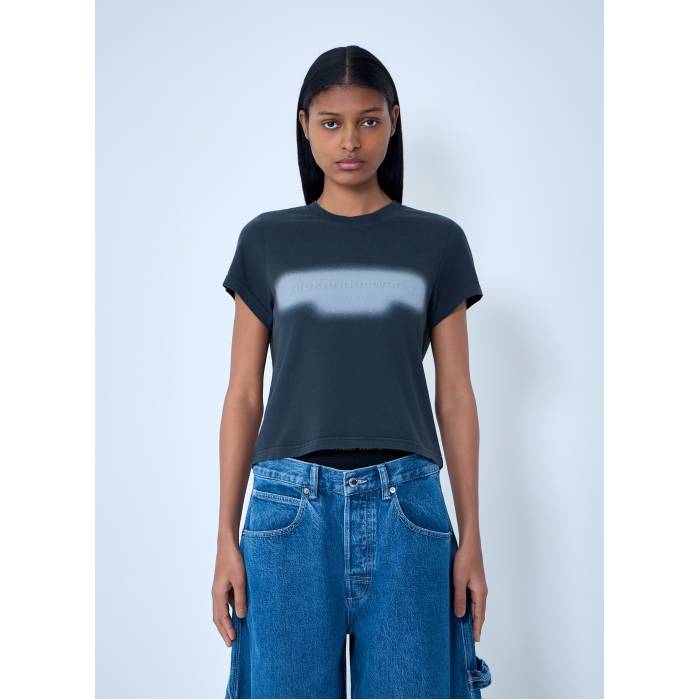 アレキサンダーワン Alexander Wang 【 Cotton Jersey Logo T-Shirt Women Gry 】 ジャージ ロゴ Tシャツ レディース