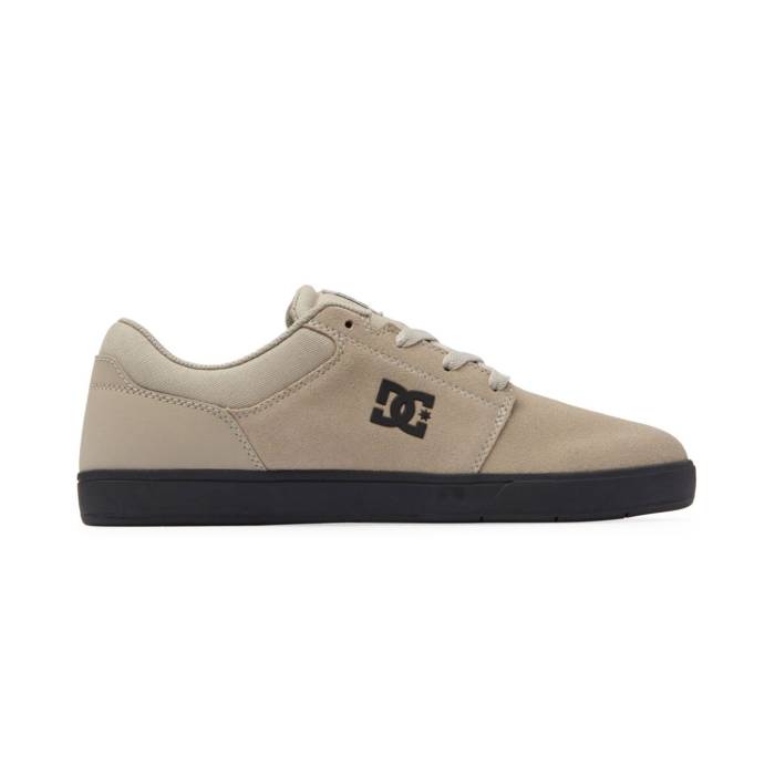 ディーシー シューズ Dc Shoes 【 Crisis 2 Silver Birch Men Grey 】 Silver 銀色・シルバー メンズ 灰色 グレー|スニケス
