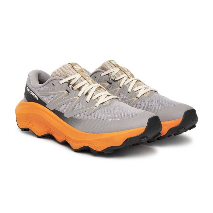 サロモン Salomon 【 Ultra Flow 2 Gtx Men Grey 】 ultra ウルトラ 流出受け答え メンズ 薄墨色 薄墨色