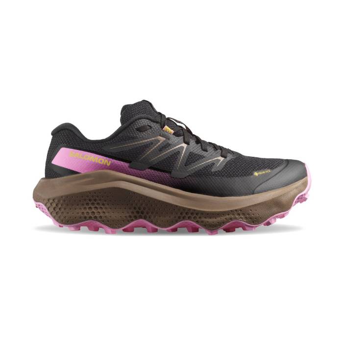 サロモン Salomon 【 Ultra Flow 2 Gtx W Women Black 】 ultra ウルトラ 流出受け答え レディース 黒いこと 黒いこと