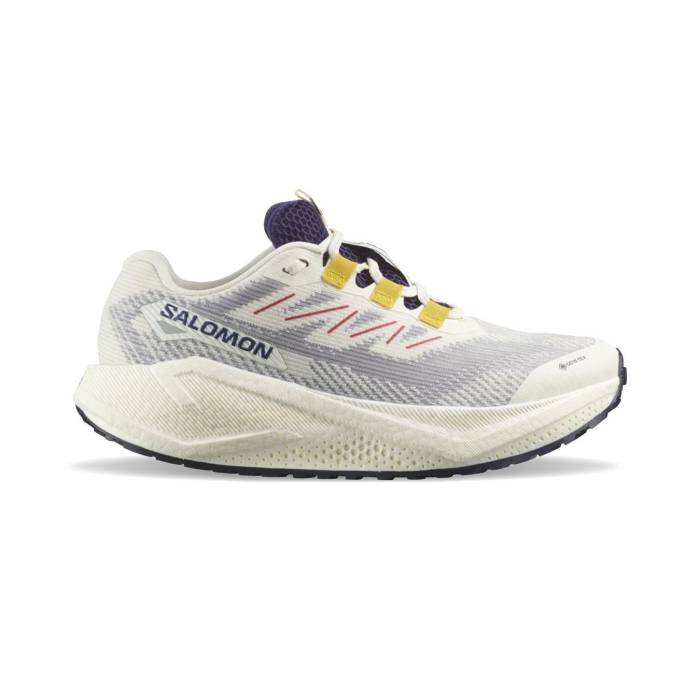 サロモン Salomon 【 Aero Blaze 3 Grvl Gtx Men Offwhite 】 メンズ