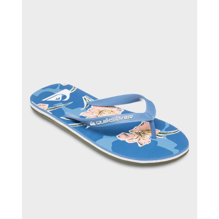 クイックシルバー Quiksilver 【 Mens Molokai Art 25 Thongs Mens Coronet Blue Backyards 】 メンズ アート メンズ 青色 ブルー