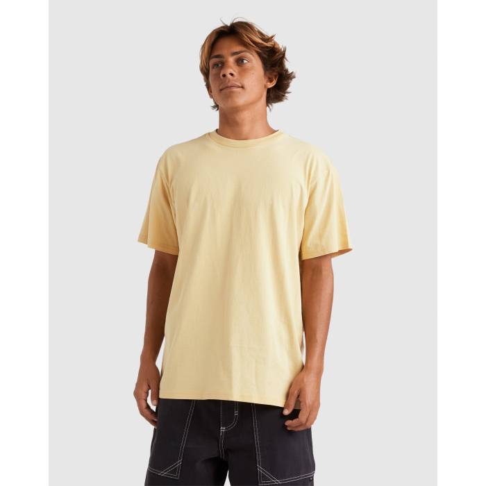 【★百貨店SALE★6/11十二時2時迄】クイックしろがね色 Quiksilver 【 Mens Salt Water Crew T-Shirt Mens Rattan 】 メンズ 労働者の一団 プルオーバー メンズ