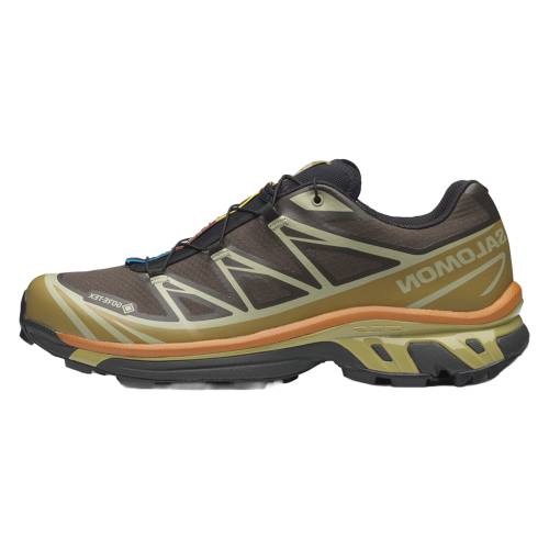 サロモン ゴアテックス \"DELICIOSO TEA\" スニーカー メンズ SALOMON XT-6 GORE-TEX L49202100 /