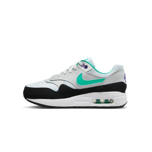 ナイキ マックス エアマックス "TROPICAL TWIST" ジュニア キッズ NIKE AIR MAX 1 GRADE SCHOOL DZ3307 114 / ベビー マタニティ スニーカー｜スニケス