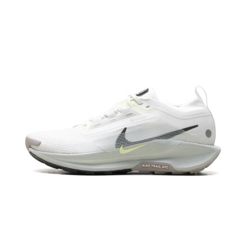 ナイキ ペガサス ゴアテックス 白色 ホワイト 銀色 シルバー カレッジ 灰色 グレー \"SUMMIT SEQUOIA\" スニーカー メンズ NIKE PEGASUS TRAIL 5 GORE-TEX WHITE LIGHT SILVER COLLEGE GREY FQ0908 102 /
