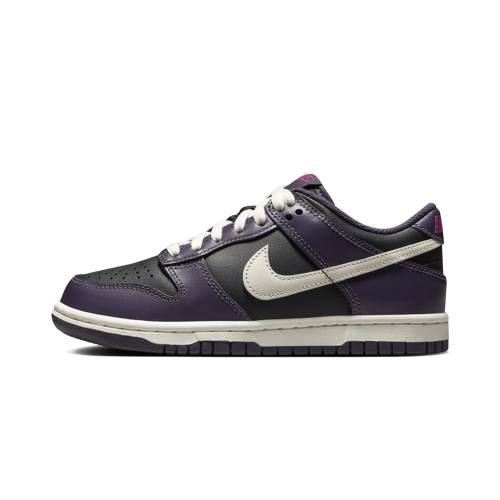 ナイキ ダンク ダンクロー \"DARK RAISIN\"" 御坊っちゃん キッズ NIKE DUNK LOW GS FB9109 003 / もの言う花 マタニティ スニーカー"