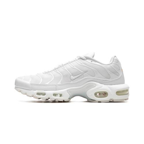 ナイキ マックス エアマックスプラス \"PURE PLATINUM\"" スニーカー レディース NIKE AIR MAX PLUS WMNS DM2362 100 /"