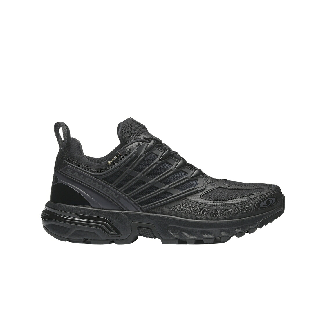 サロモン 労働者階級 黒いこと 黒いこと スニーカー メンズ SALOMON ACS PRO GTX BLACK /