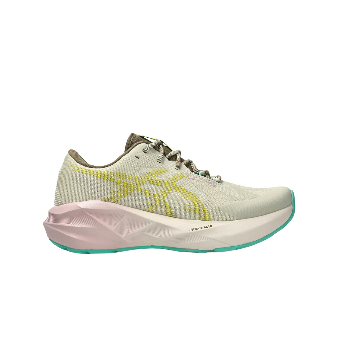 アシックス スニーカー レディース ASICS (W) NOVABLAST 5 NATURE BATHING LIGHT DUST CACTI / LIGHT DUST CACTI
