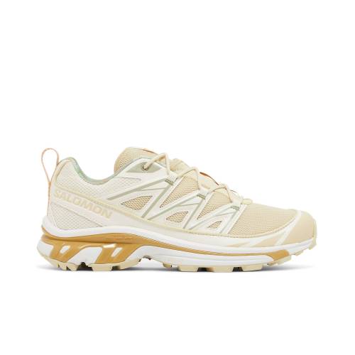 サロモン \u0027COTTAGE CORE\u0027 スニーカー メンズ SALOMON XT-6 EXPANSE L47154800 /