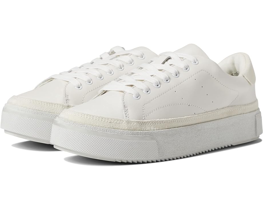 オールセインツ 白色 ホワイト スニーカー レディース 【 ALLSAINTS TRISH / CHALK WHITE 】｜スニケス