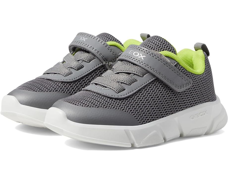 ジェオックス ジュニア キッズ 【 GEOX KIDS ARIL 8 / 】 ベビー マタニティ スニーカー