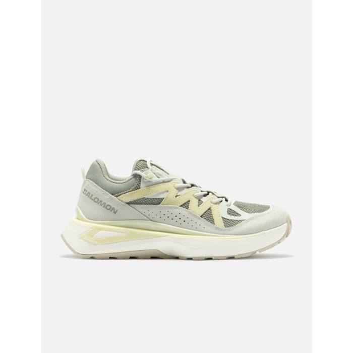 Salomon Advanced 【 Odyssey Elmt Low Men Shadow/ Metal/ Aloe Wash 】 メンズ シャドー・シャドウ メタル