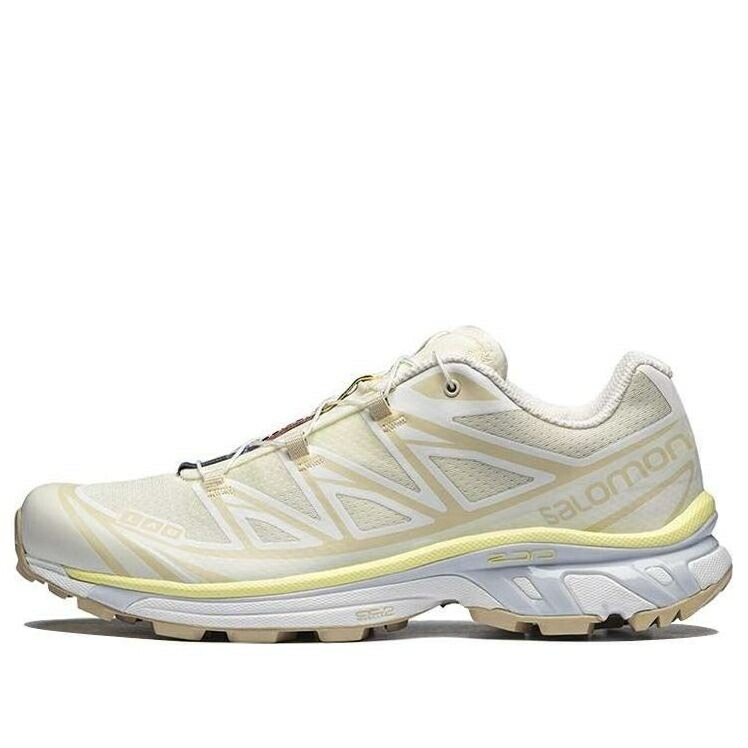サロモン 茶色 ブラウン VANILLA YELLOW スニーカー メンズ SALOMON XT-6 ICE 417518 / BROWN