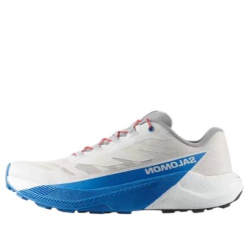 サロモン ルーナー ルナー 白いこと 白いこと 青み 青色 \u0027LUNAR BLUE\u0027 スニーカー メンズ SALOMON PULSAR ROCK FRENCH 479733 / LUNAR ROCK WHITE FRENCH BLUE