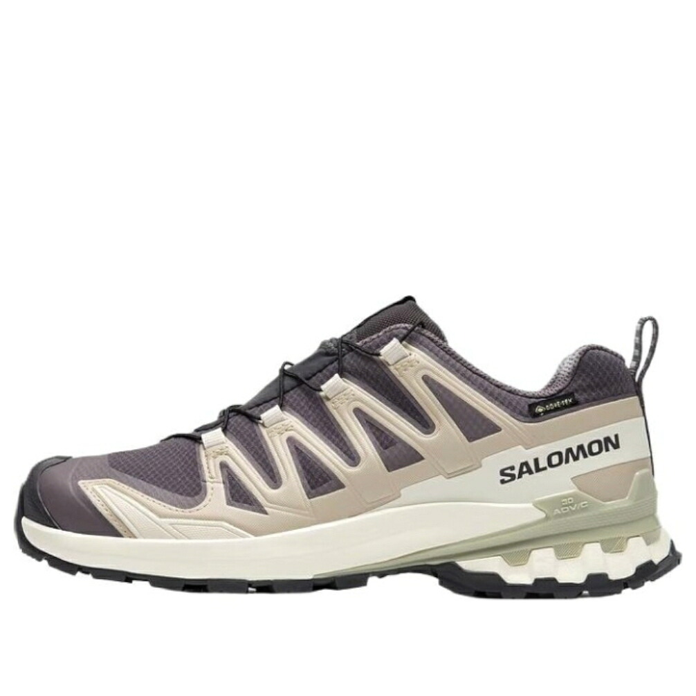 サロモン 労働者階級 薄墨色 薄墨色 ベージュ \u0027DARK BEIGE\u0027 スニーカー メンズ SALOMON XA PRO 3D V9 GTX GREY 477447 / DARK GREY BEIGE