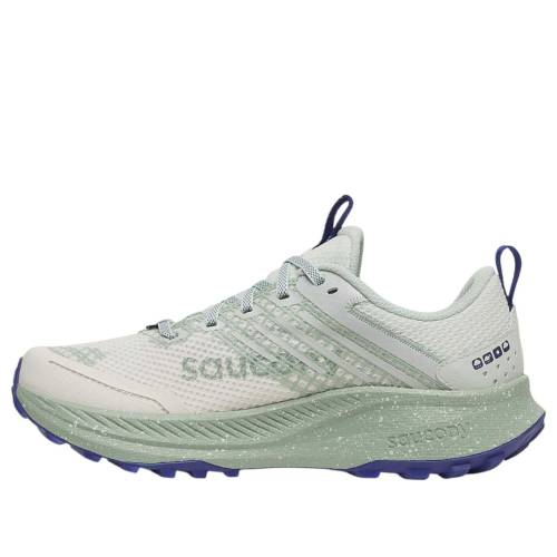 サッカニー 'QUARTZ MIST' スニーカー レディース SAUCONY (WMNS) RIDE TR2 GTX S10953-260 / QUARTZ MIST