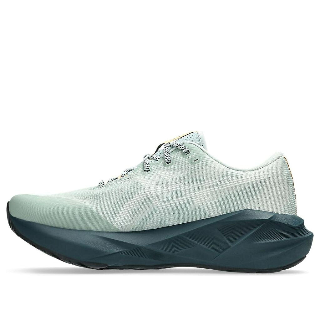 アシックス 'NATURE ROCK' スニーカー メンズ ASICS NOVABLAST 5 TR BATHING LICHEN 1011C138-300 / NATURE BATHING LICHEN ROCK|スニケス