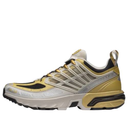 サロモン プロ ゴールド 銀色 シルバー 黒色 ブラック \'20 ANNIVERSARY\' スニーカー メンズ SALOMON ACS PRO YEAR 491608 / RICH GOLD OLD SILVER CLOUD BLACK