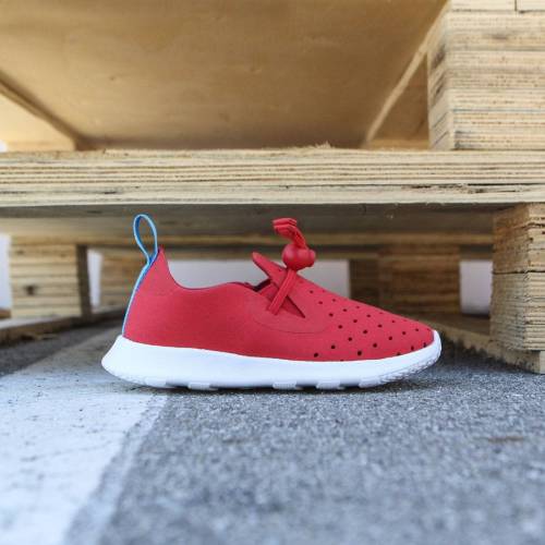 ネイティブ トーチ シェル 赤 レッド 白色 ホワイト スニーカー ベビー 【 NATIVE TODDLERS APOLLO MOC (RED / TORCH SHELL WHITE) RED  TORCH  SHELL WHITE 】 メンズ