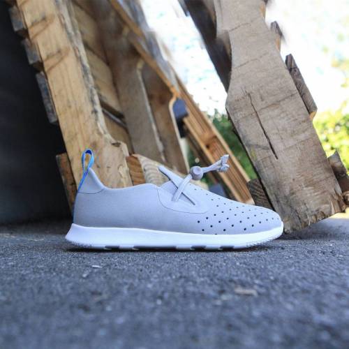 ネイティブ シェル 灰色 グレー グレイ 白色 ホワイト ジュニア キッズ 【 NATIVE LITTLE KIDS APOLLO MOC (GRAY / PIGEON SHELL WHITE) GRAY  PIGEON  SHELL WHITE 】 ベビー マタニティ スニーカー