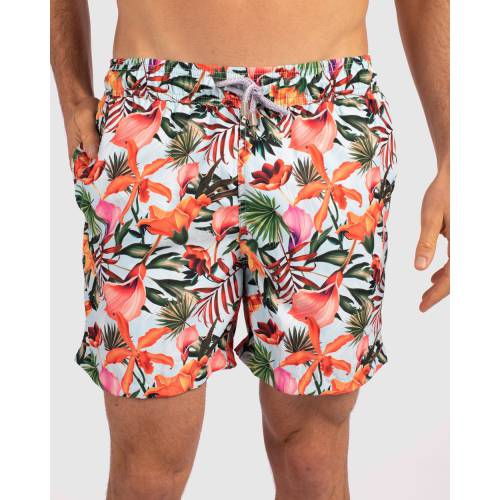 ショーツ ハーフパンツ 水着 メンズ 予約販売品