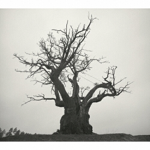 絶対的存在へ 手放せない極上 送料無料有 Blu Ray Sekai No Owari Tarkus Tfxq お1人様1点限り Www Iacymperu Org