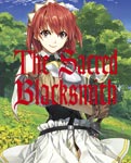 【送料無料】聖剣の刀鍛冶 Blu-ray BOX/アニメーション[Blu-ray]【返品種別A】｜Joshin web CD／DVD店 15,824円